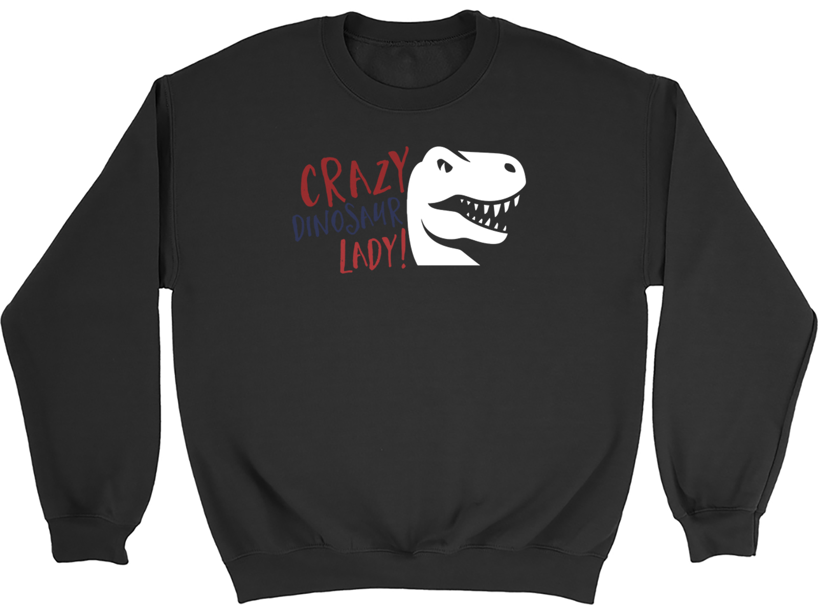 Crazy Dinosaur Lady Sweatshirt Mens Womens Paleontology Carnivores Gift Jumper eBay